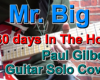 Mr.Bigの30 days In The Holeのギターソロを弾いてみた！