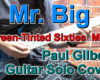 Mr.BigのGreen-Tinted Sixties Mindのギターソロ(Paul Gilbert)を弾いてみた！